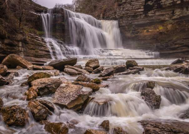 Photo by Jeff Law, 2018.