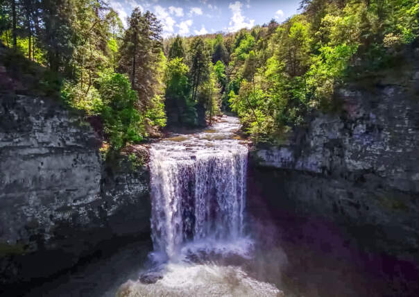 Photo by Ian Cresswell, 2021.